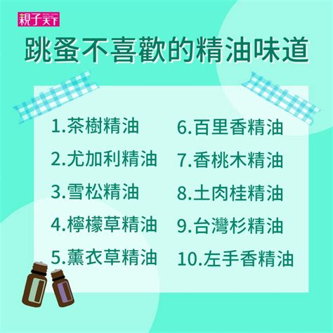 跳蚤 茶樹精油|跳蚤怕什麼氣味？漂白水可殺死跳蚤？消滅跳蚤方法整。